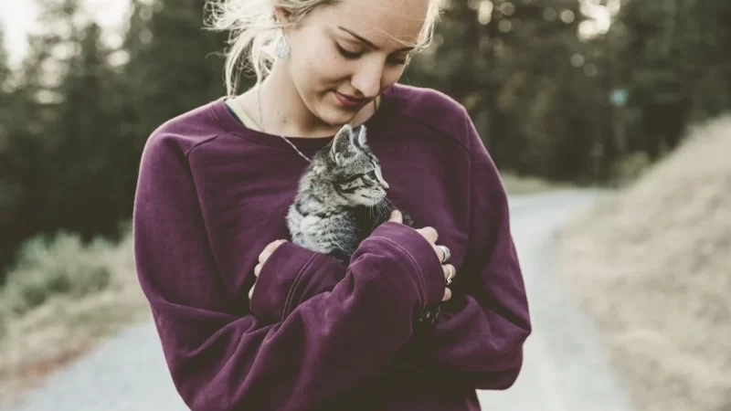 Conheça a “ronronterapia”: gatos atuam no bem-estar de pacientes